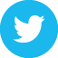 Twitter icon in colour